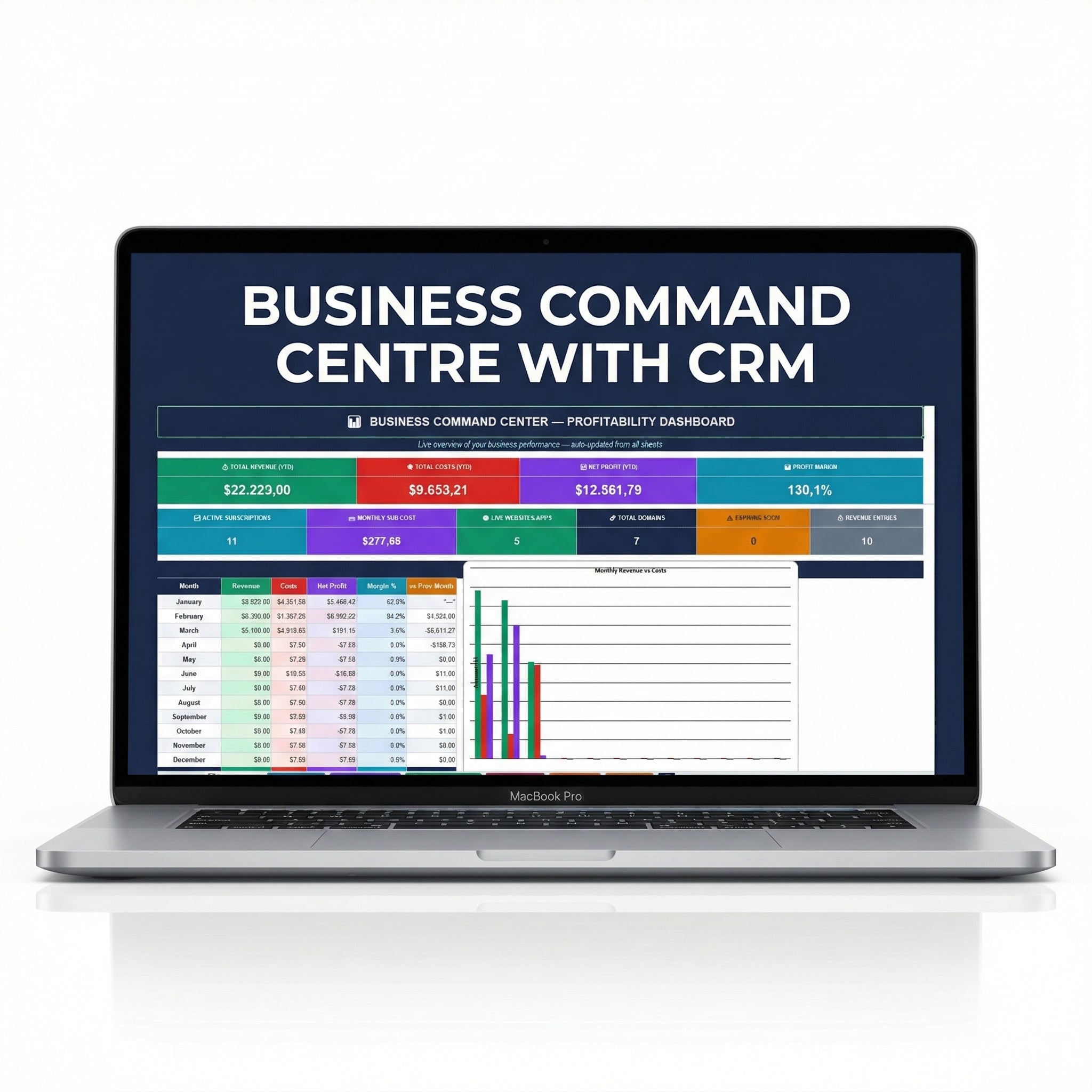 Business Spreadsheet template — CRM, P&L, Revenue & Domains tracker All-in-One Digital Business Dashboard